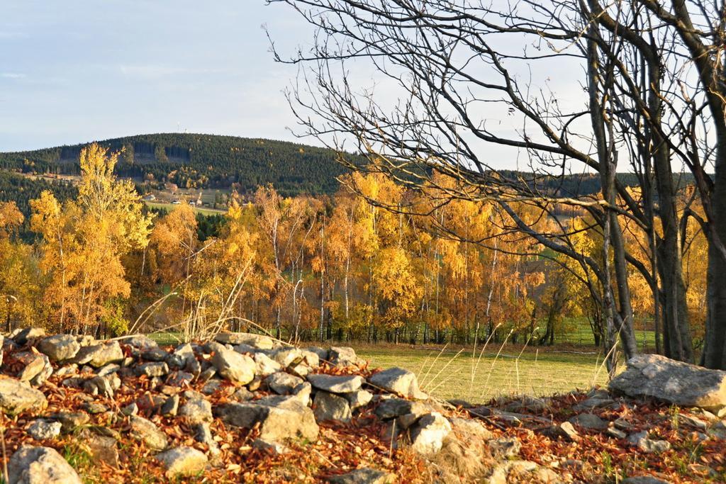 Penzion Rankl-Sepp Stachy Exteriör bild